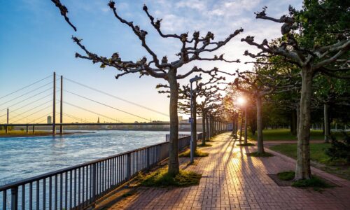Düsseldorf ohne Plan? Mit diesen Tipps wird der Trip unvergesslich